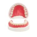 Who Needs Dentures?